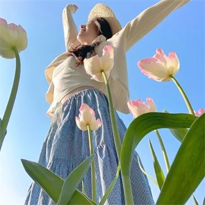 芭比与胡桃钳的梦幻之旅