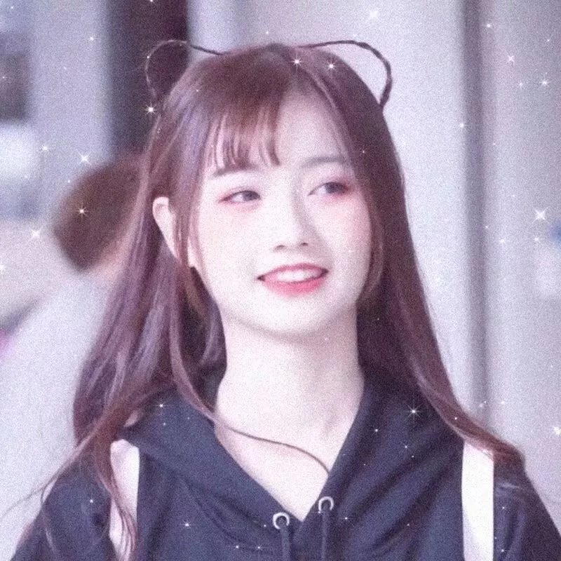 猫儿协奏曲